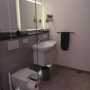 y baño con aseo, lavabo y espejo. en Eifler Brunnenhaus en Dümpelfeld