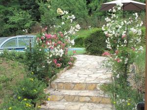 un jardín con flores rosas y blancas y una sombrilla en De Wijnberg, en Kurd