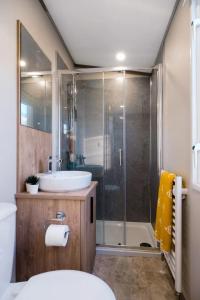 a bathroom with a shower and a sink and a toilet at Luxury Hot Tub Lodge 5 Star Country Park Huge Veranda Colour Change Hot Tub Private Fishing FREE Parking in Malton