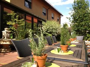 Zahrada ubytování BIO Hotel Bayerischer Wirt Augsburg