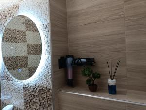 a bathroom with a shower with a mirror at Central Train Station Apartment in Braşov