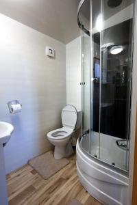 La salle de bains est pourvue de toilettes et d'une douche en verre. dans l'établissement Bajkowa dolina, à Niegowa