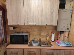 a kitchen with a sink and a microwave at Bajkowa dolina in Niegowa