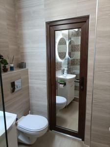 a bathroom with a toilet and a sink and a mirror at Central Train Station Apartment in Braşov