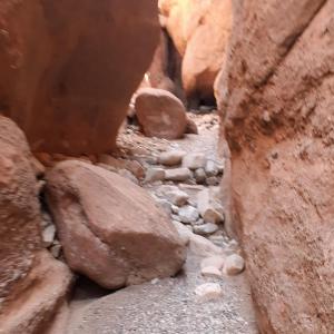 een gleuf in de rotsen in een canyon met rotsachtige leguanen bij Kasbah La Famille Berbère in Boumalne