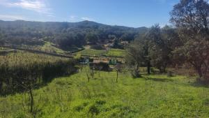 un campo verde con una granja en una colina en Finca del Abu, en Los Marines