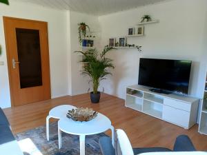 a living room with a tv and a table at Ferienwohnung Wandersfreud in Dürrröhrsdorf