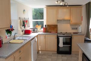 a kitchen with wooden cabinets and a black appliance at Glenydd Rhydlewis in Rhyd Lewis