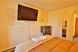 een slaapkamer met een bed en een flatscreen-tv aan de muur bij Babe Ruth Apt 2 All Star Baseball Rentals in Oneonta