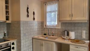 a kitchen with a sink and a counter top at Eirini Home in Andros