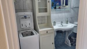 a small bathroom with a sink and a washing machine at Eirini Home in Andros