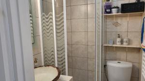 a small bathroom with a toilet and a shower at Eirini Home in Andros