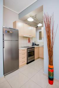 a kitchen with a stainless steel refrigerator and cabinets at Apartment near the circuit of Serres and centre!!! in Serres