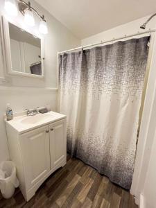 uma casa de banho com um lavatório e uma cortina de chuveiro em Home Run Apt 1 All Star Baseball Rentals em Oneonta