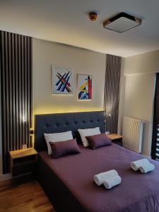 een slaapkamer met een paars bed met 2 kussens erop bij Diamond Residence - Urban View Apartment in Skopje