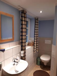 een badkamer met een wastafel en een toilet bij Münsterland Cottage in Lengerich