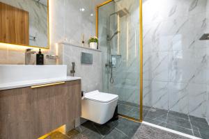 a bathroom with a shower and a toilet and a sink at Appartement Dubai in Dubai
