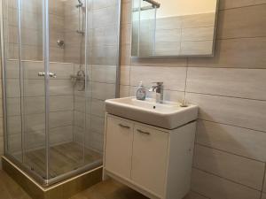 een badkamer met een wastafel en een douche bij Apartment OB in Oberhausen