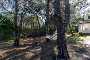 Κήπος έξω από το VILLA ROSANNA