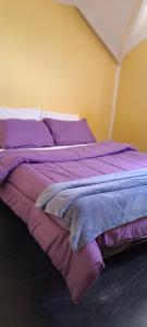 uma cama com um edredão roxo num quarto em Hostel Wenuy- em El Chaltén