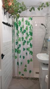 a bathroom with a shower curtain with clovers on it at La Casa del Callejón in Vejer de la Frontera