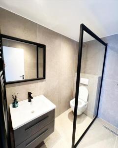 een badkamer met een toilet, een wastafel en een spiegel bij Mayfair Suites in Antwerpen