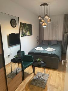 a bedroom with a bed and a chair and a mirror at Plaza extra lux apartman garage free in Stanovo