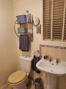 a bathroom with a toilet and a sink at The Nook @ Rowan Tree Cottage in Ballymoney