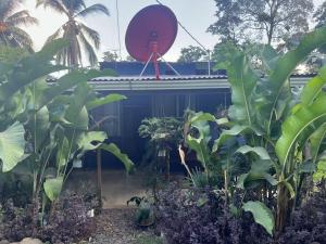 een tuin voor een gebouw met een rode bol bij Maricel House in San Rafael