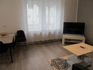 TV a/nebo společenská místnost v ubytování Appartment Ipsum