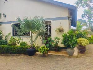 a house with potted plants in front of it at Nieta Chunu in Dar es Salaam