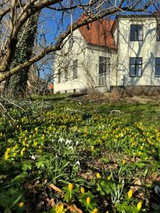 um campo de flores em frente a uma casa em STF Landskrona Hostel em Landskrona