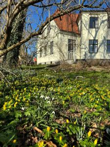 ランツクルーナにあるSTF Landskrona Hostelの家の前の花畑