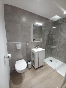 Un baño con inodoro, ducha y lavabo. en La Suite Etoilée - Balnéo privative, en Courgains