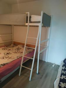 a bunk bed with a ladder next to a bunk bed at Seaview apartment central location Helsinki in Helsinki