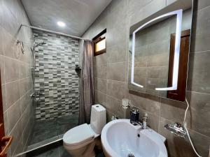 La salle de bains est pourvue d'un lavabo, de toilettes et d'une douche. dans l'établissement Byurakan Villas near Kari Lake, à Byurakan
