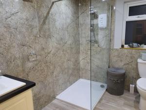 a bathroom with a glass shower with a toilet at White O'Morn Cabin in Newry