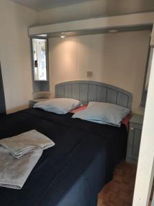 a bedroom with a large bed with two pillows at Mobil-home dans un beau cadre à 15 km des plages. in Lunel