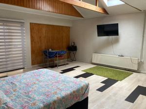 瓦爾迪維亞的住宿－Amplia habitación con Jacuzzi，一间卧室配有一张床和一台平面电视