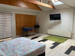 Schlafzimmer mit einem Bett und einem Flachbild-TV in der Unterkunft Amplia habitación con Jacuzzi in Valdivia