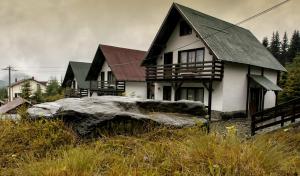 une maison avec un grand rocher en face dans l'établissement Vilele SuperSki, à Cavnic