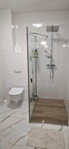 een badkamer met een glazen douche en een toilet bij Apartamenty Paderewski 2 in Bielawa