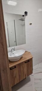 een badkamer met een wastafel en een spiegel bij Apartamenty Paderewski 2 in Bielawa