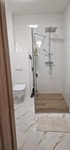 een badkamer met een douche en een toilet bij Apartamenty Paderewski 2 in Bielawa