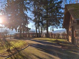 une route menant à une maison avec des arbres et une clôture dans l'établissement Holiday Home Christopher by Interhome, à Ruhmannsfelden