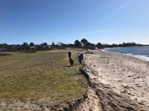 tres personas y dos perros caminando por la playa en Holiday Home Rothger - 200m from the sea in SE Jutland by Interhome, en Sønderby