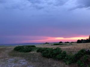 un tramonto su un campo con fiori in un campo di Holiday Home Rothger - 200m from the sea in SE Jutland by Interhome a Sønderby