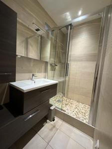 a bathroom with a sink and a shower at L'écrin Saint Mandé in Saint-Mandé