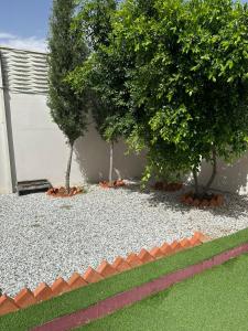 two trees in a yard with gravel at شاليه قلب الهدا 3-4 in Al Hada