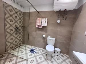a bathroom with a toilet and a shower at The Port House Sea Breeze in Agios Georgios